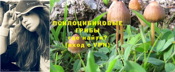 амф Всеволожск